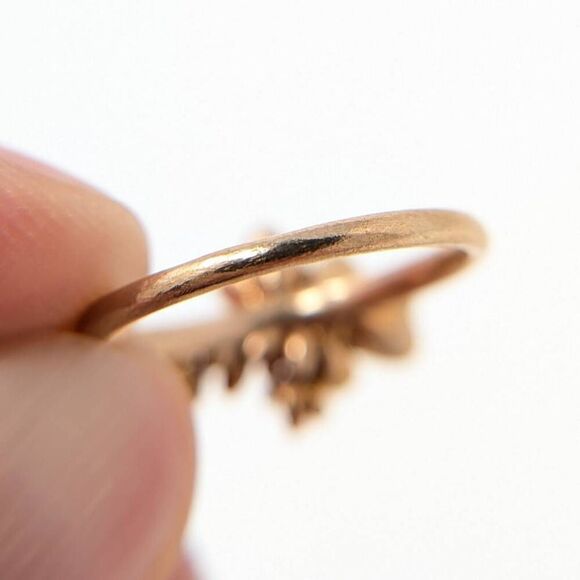 Botanical Cluster Ring in Natural Bronze size 7 by Collected Edition - Picture 9 of 15